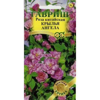 Троянда китайська Крила ангела /5 насінин/ *Гавриш*