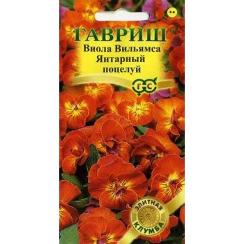 Виола Янтарный поцелуй F1 /5 семян/ *Гавриш*