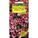 Флокс Ренесанс /8 насінин/ *Гавриш*