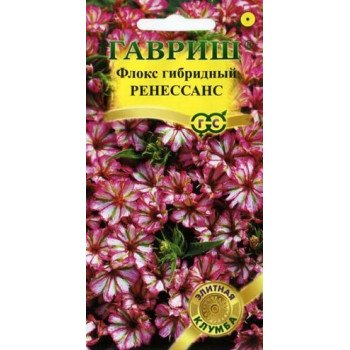 Флокс Ренессанс /8 семян/ *Гавриш*