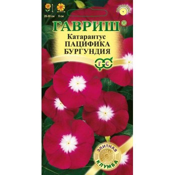 Катарантус Пацифика бургундия /7 семян/ *Гавриш*