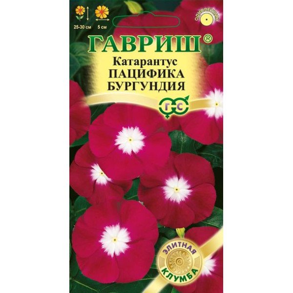 Катарантус Пацифика бургундия /7 семян/ *Гавриш*