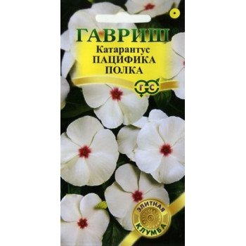 Катарантус Пацифика полка /7 семян/ *Гавриш*