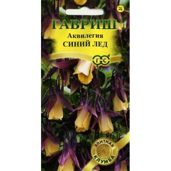 Семена аквилегии Синий лед /10 семян/ *Гавриш*