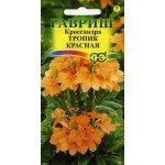 Кроссандра Тропик красная /3 семечка/ *Гавриш*