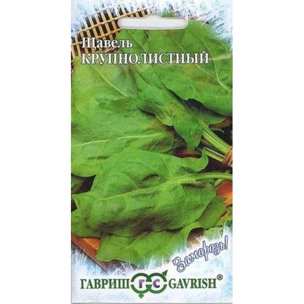 Насіння щавлю Крупнолистий /1 г/ *Гавриш*