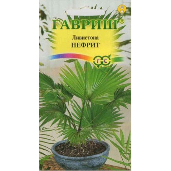 Лівістона китайська Нефрит /3 насінини/ *Гавриш*