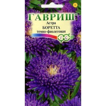 Астра Боретта темно-фиолетовая /0,3 г/ *Гавриш*