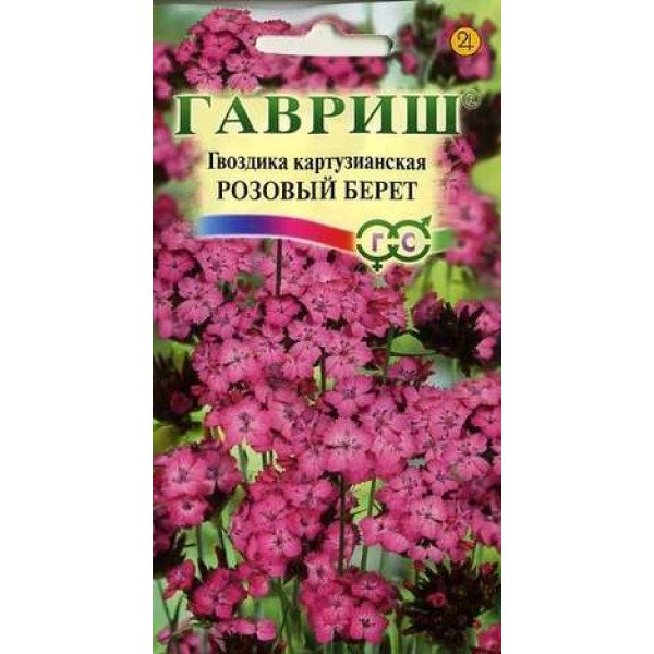 Гвоздика картузіанська Рожевий берет /0,05 г/ *Гавриш*
