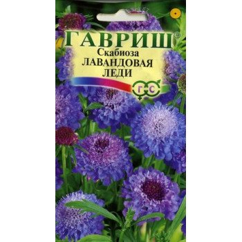 Скабиоза пурпурная Лавандовая леди /0,5 г/ *Гавриш*