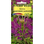 Клеома Фіолетова королева /0,3 г/ *Гавриш*