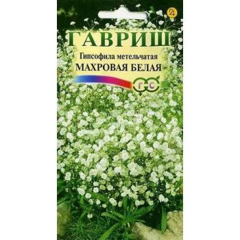 Гипсофила метельчатая Махровая белая /0,1 г/ *Гавриш*
