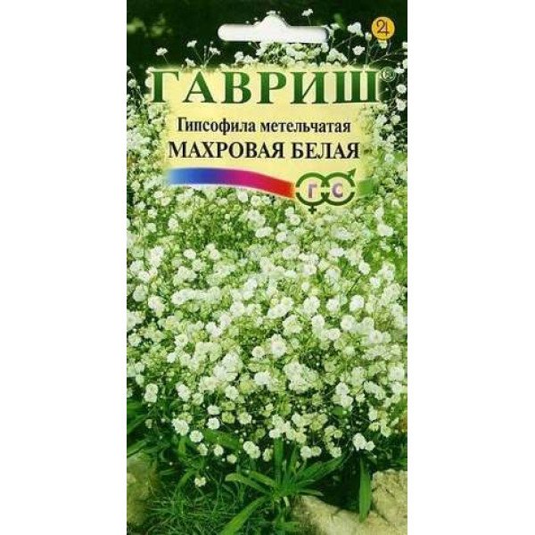 Насіння гіпсофіли волотистої Махрова біла /0,1 г/ *Гавриш*