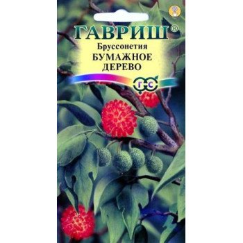 Бруссонетія Паперове дерево /3 насінини/ *Гавриш*