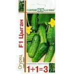 Огірок Циган F1 /(серія 1+1) 20 насінин/ *Гавриш*