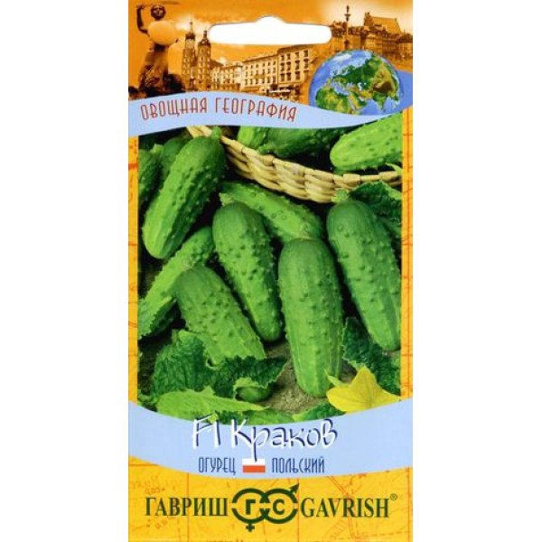 Насіння огірка Краків F1 /10 насінин/ *Гавриш*