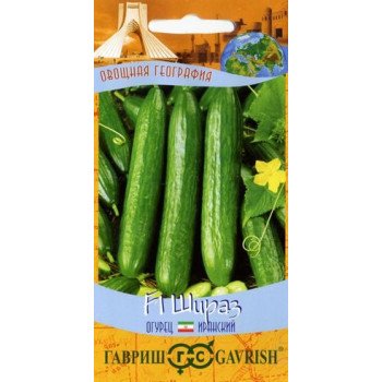 Огурец Шираз F1 /10 семян/ *Гавриш*