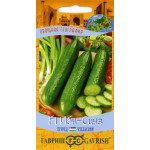 Огірок Ібн Сіна F1 /10 насінин/ *Гавриш*