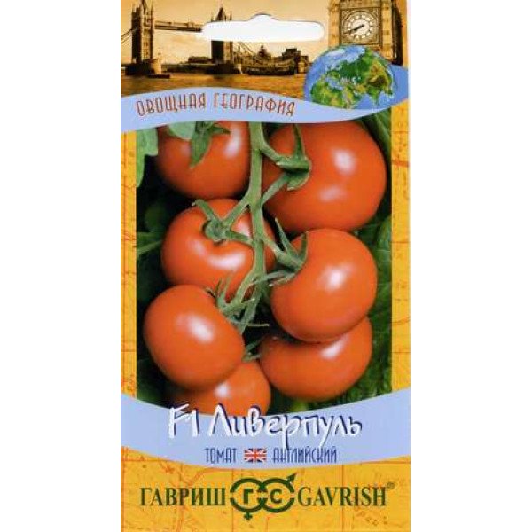 Семена томата Ливерпуль F1 /12 семян/ *Гавриш*