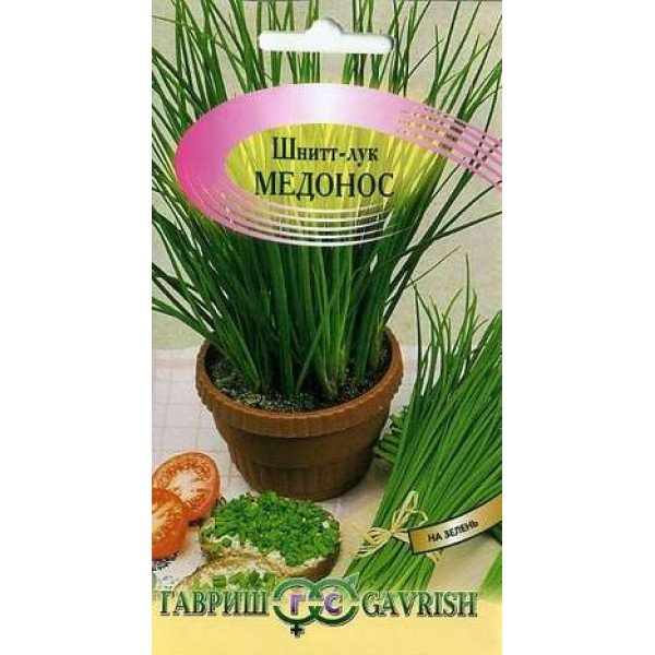 Насіння Цибулі-шніт Медонос /0,5 г/ *Гавриш*