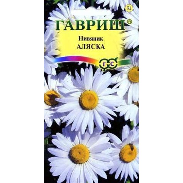 Семена нивяника Аляска /0,1 г/ *Гавриш*