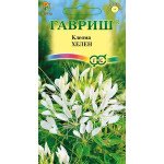 Клеома Хелен /0,3 г/ *Гавриш*