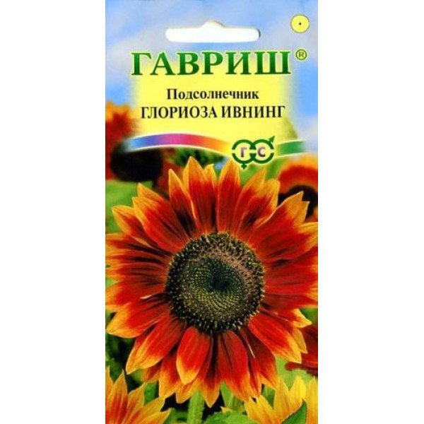 Насіння соняшнику Глоріоза Івнінг /0,5 г/ *Гавриш*