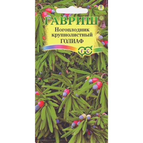 Ногоплідник круглолистий Голіаф /3 насінини/ *Гавриш*
