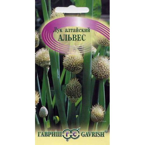 Семена лука алтайского Альвес /0,5 г/ *Гавриш*