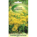 Цибуля коса Новачок /0,5 г/ *Гавриш*