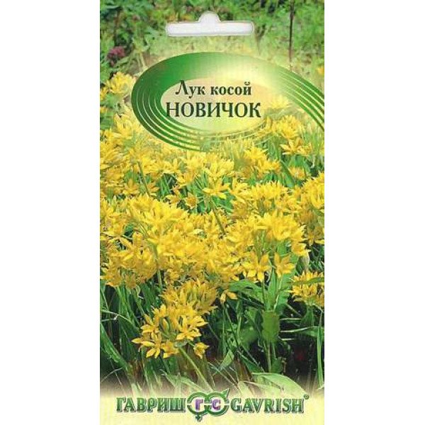 Семена лука косого Новичок /0,5 г/ *Гавриш*