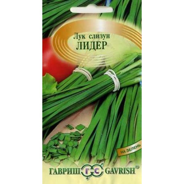 Семена лука слизун Лидер /0,5 г/ *Гавриш*