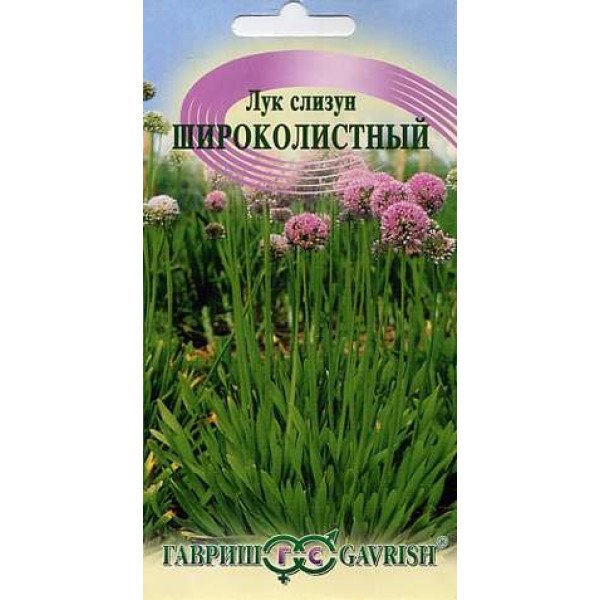 Семена лука слизун Широколистный /0,5 г/ *Гавриш*