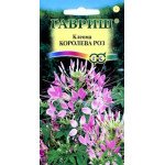 Клеома Королева роз /0,3 г/ *Гавриш*