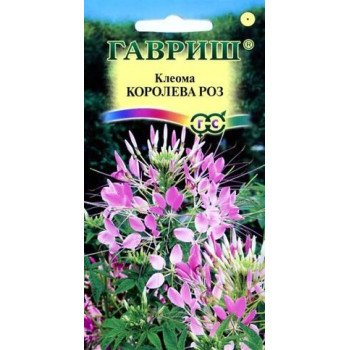 Клеома Королева роз /0,3 г/ *Гавриш*