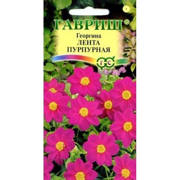 Георгина Лента пурпурная /0,5 г/ *Гавриш*
