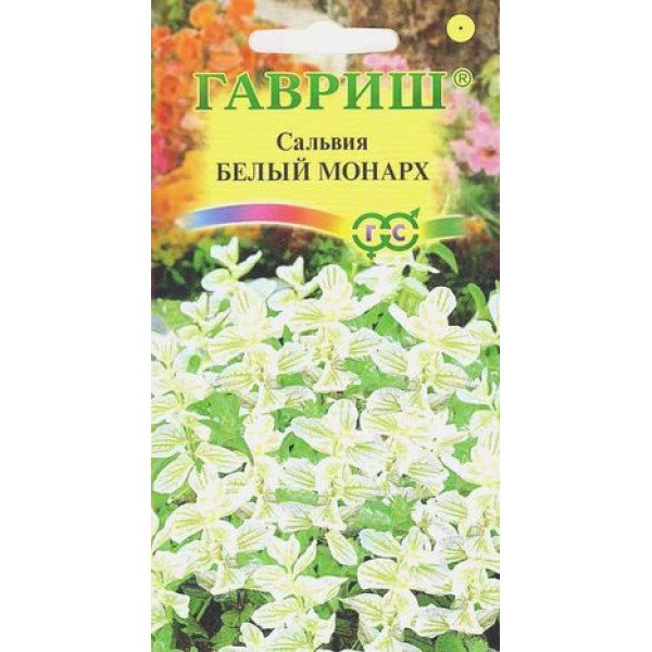 Сальвия Белый монарх /0,05 г/ *Гавриш*