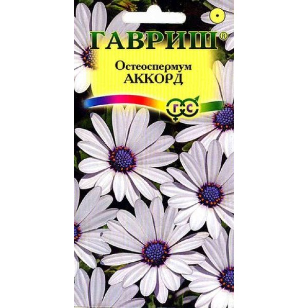 Остеоспермум Аккорд (белый) /0,1 г/ *Гавриш*