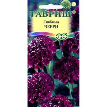 Скабиоза пурпурная Черри /0,5 г/ *Гавриш*