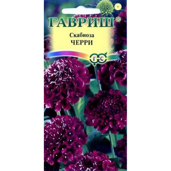 Скабіоза пурпурова Черрі /0,5 г/ *Гавриш*
