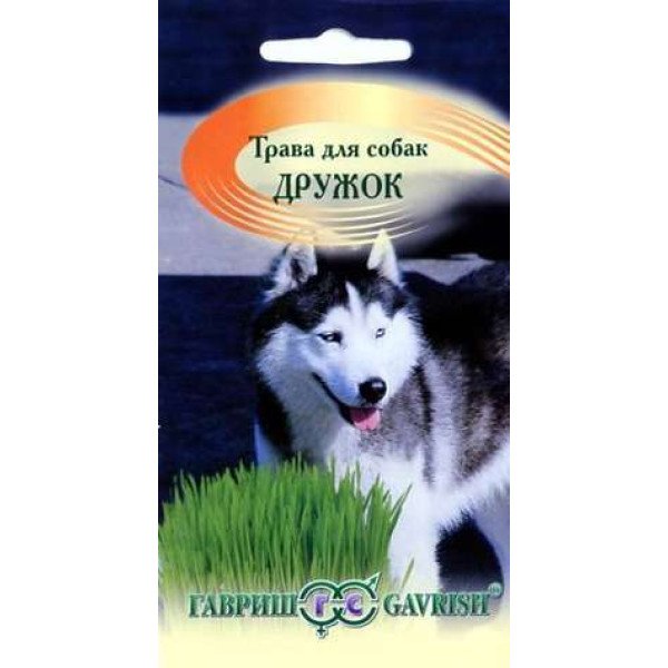 Насіння трави для собак Дружок /10 г/ *Гавриш*
