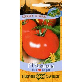 Томат Анталия F1 /12 семян/ *Гавриш*