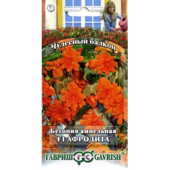Бегония Афродита F1 /5 семян/ *Гавриш*