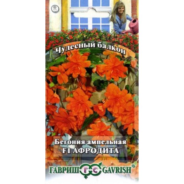 Бегония Афродита F1 /5 семян/ *Гавриш*