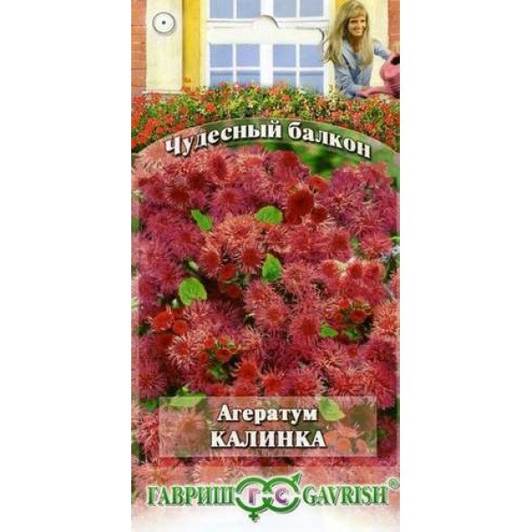 Семена агератума Калинка /0,1 г/ *Гавриш*