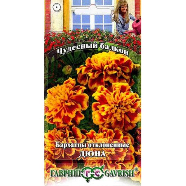 Бархатцы Дюна /0,3 г/ *Гавриш*