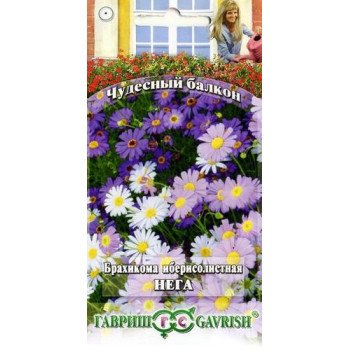 Брахікома Іберісолистна Нега /0,05 г/ *Гавриш*