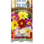 Жоржина Чародійка суміш /0,5 г/ *Гавриш*
