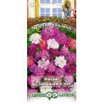 Иберис Кельтский узор /0,2 г/ *Гавриш*