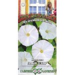 Ипомея Лаки стар /3 семечка/ *Гавриш*